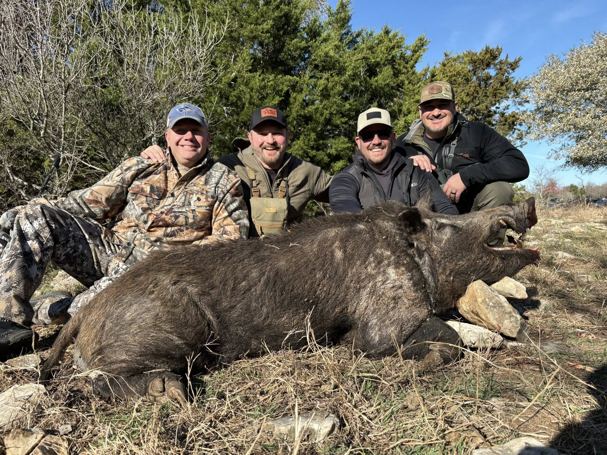 California Hog Hunt