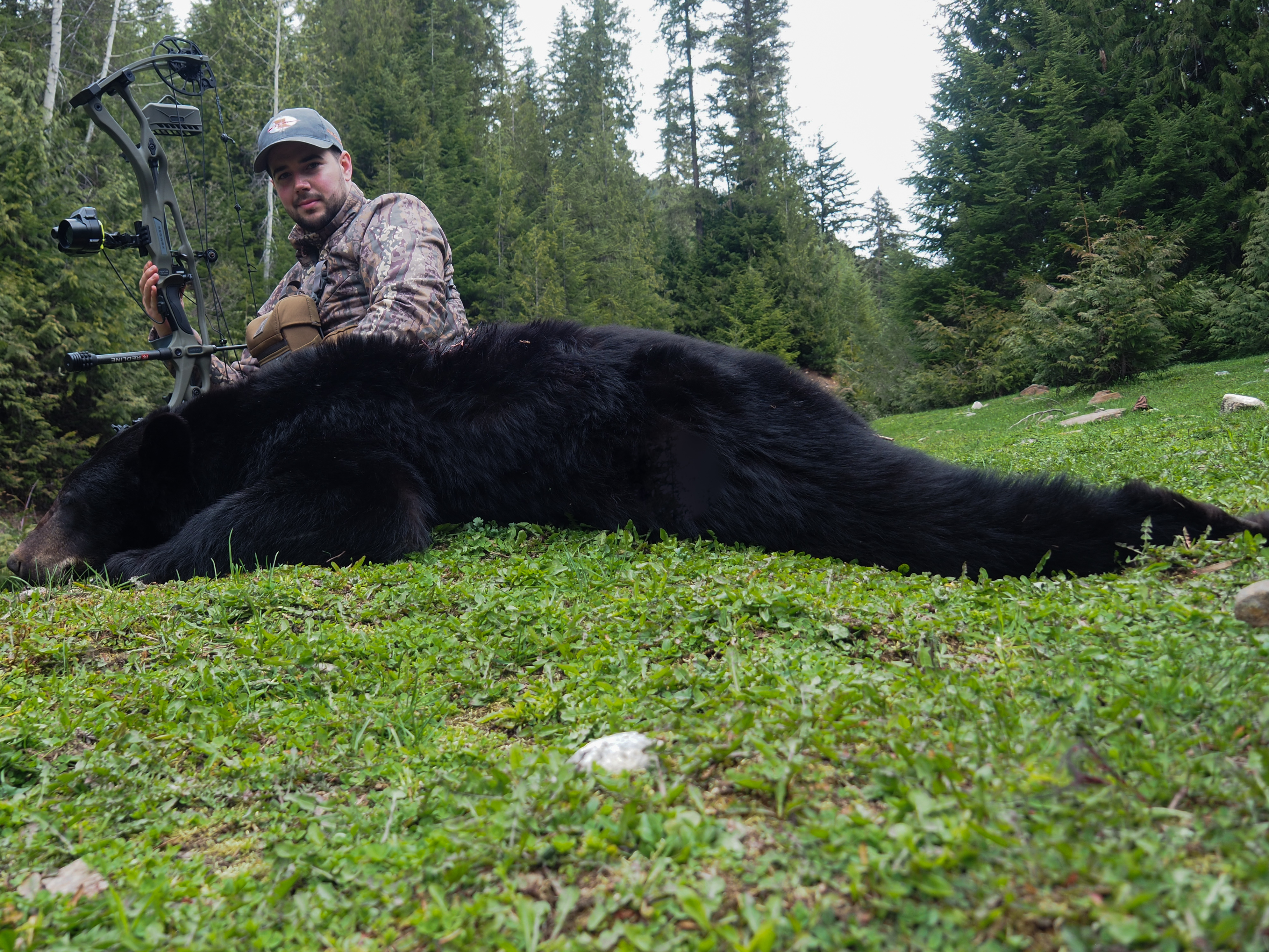 Bear Hunt