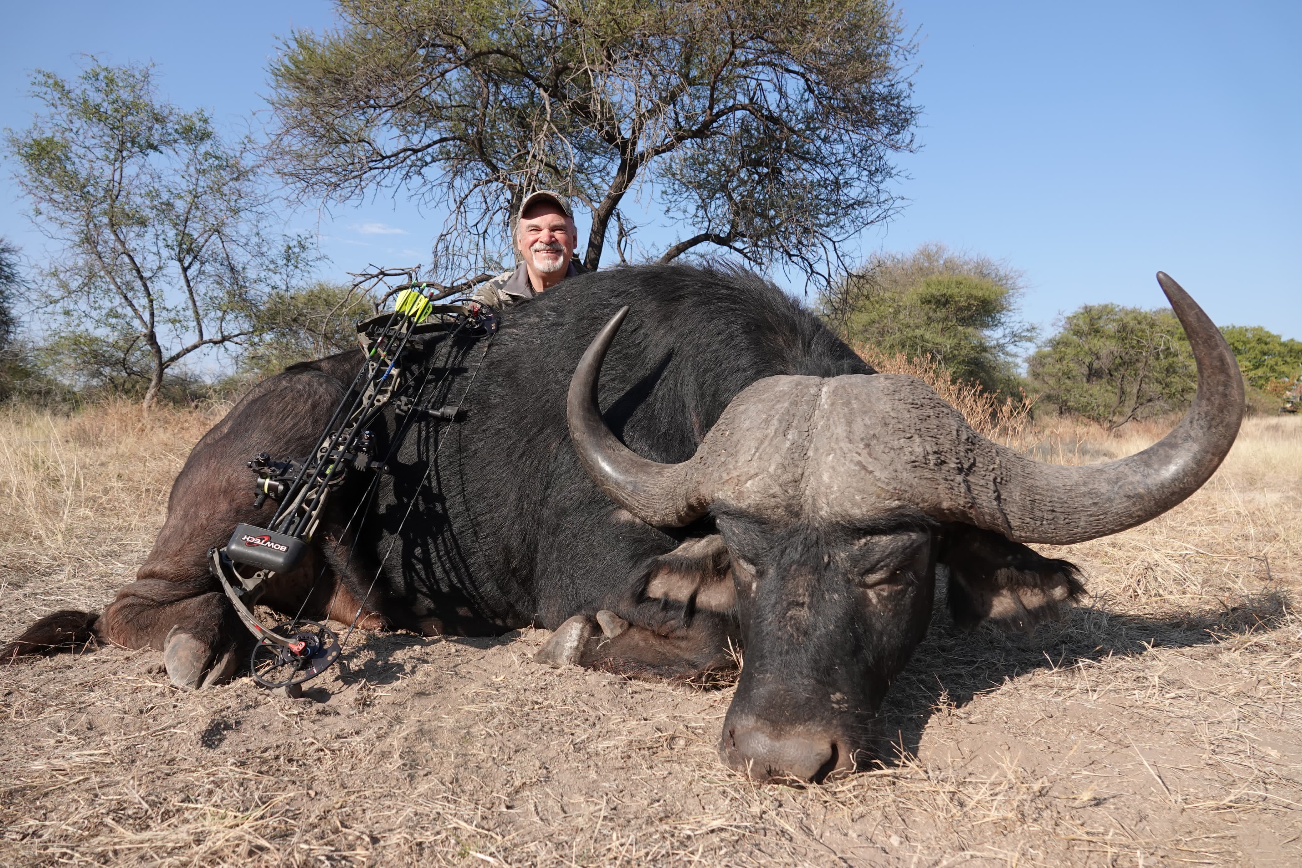 Cape Buffalo Hunt